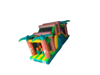 CASTILLO HINCHABLE PISTA AMERICANA SELVA GRANDE (3)