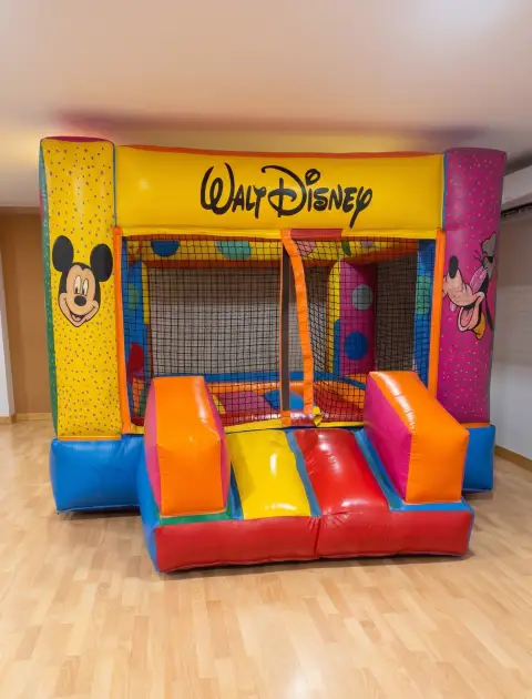 Castillo hinchable casita disney